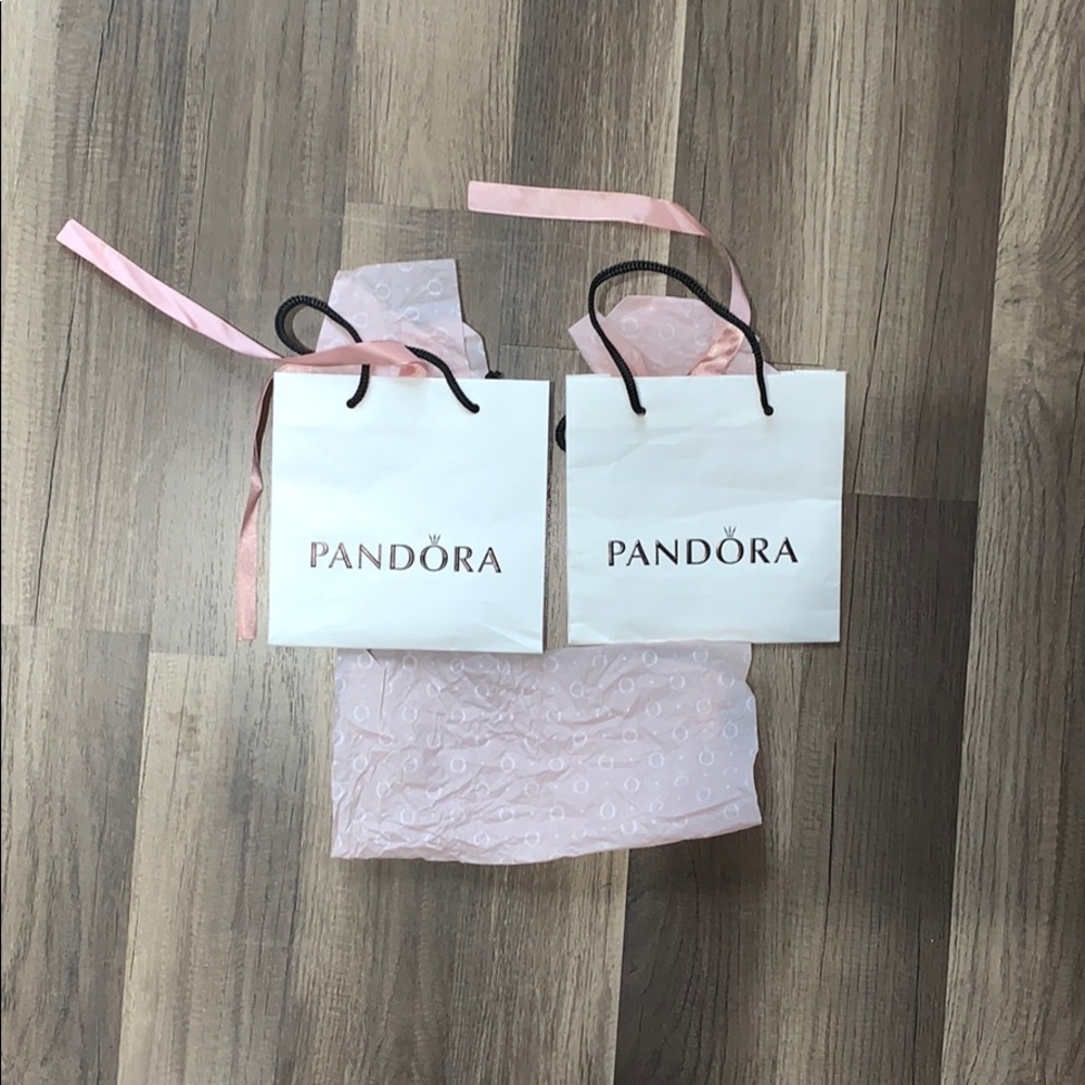2 Empty Pandora Bags with Branded Tissue 🛍